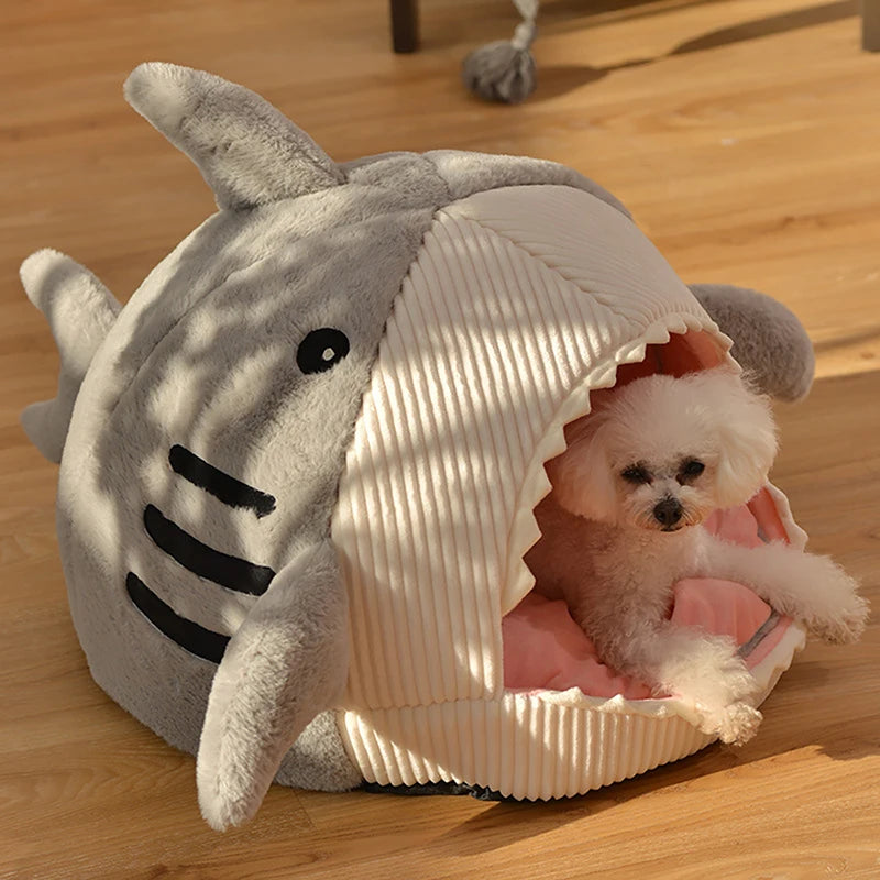 Dog in a shark-shaped pet bed on a wooden floor
