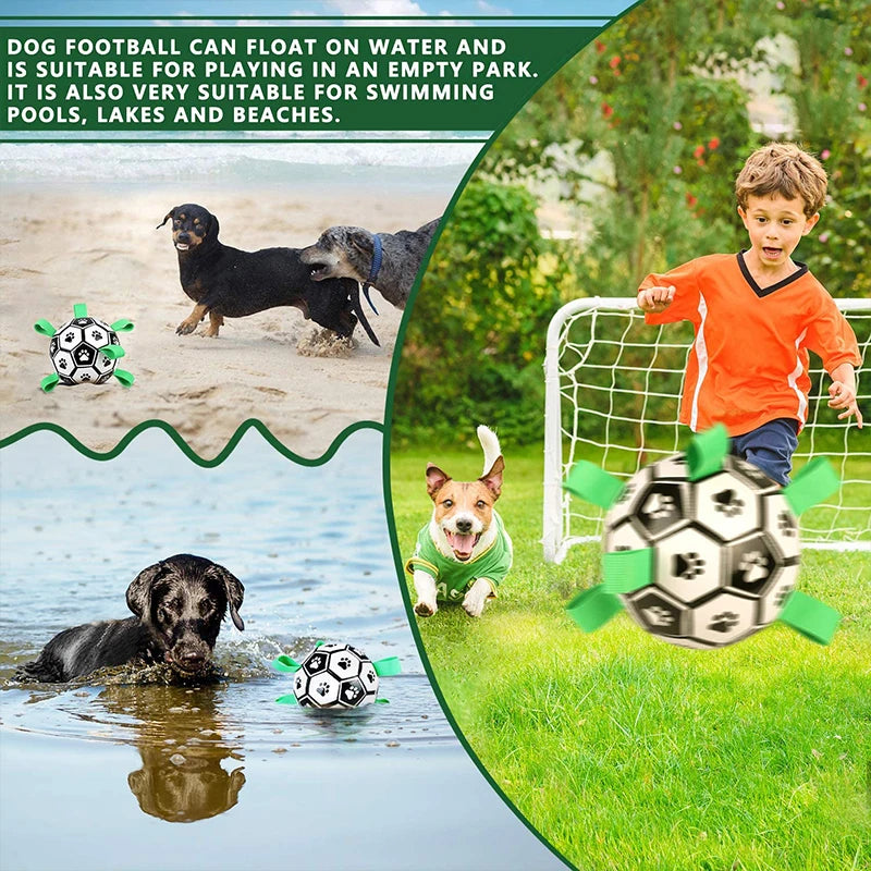 Dog football floating on water with dogs playing and a child kicking it near a goal.