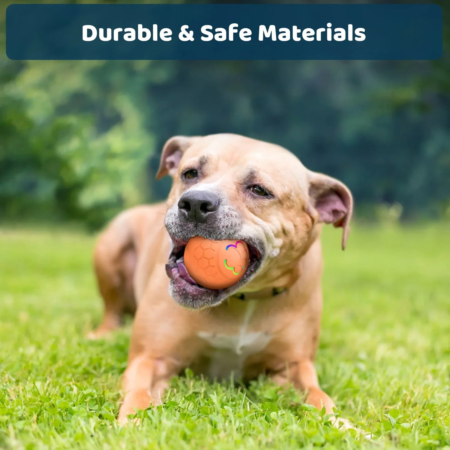 Dog playing with a ball on grass with text 'Durable & Safe Materials' at the top.