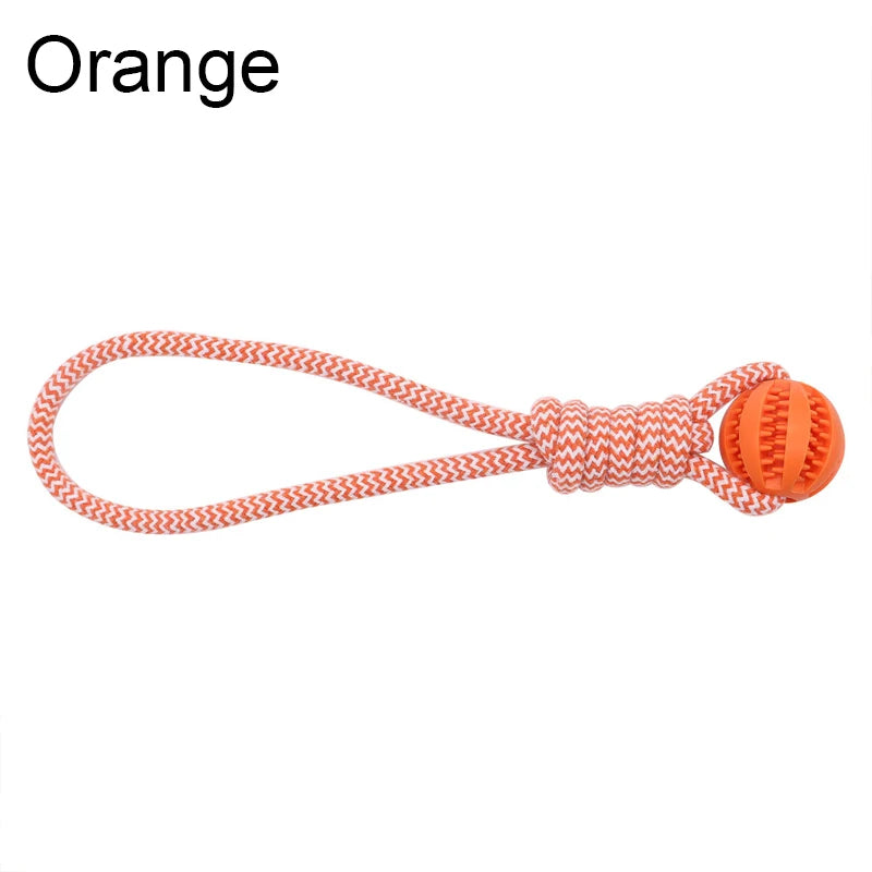 Orange dog toy with a rope on a white background