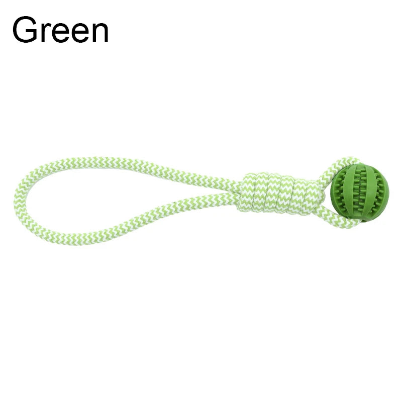 Green dog toy with a rope on a white background