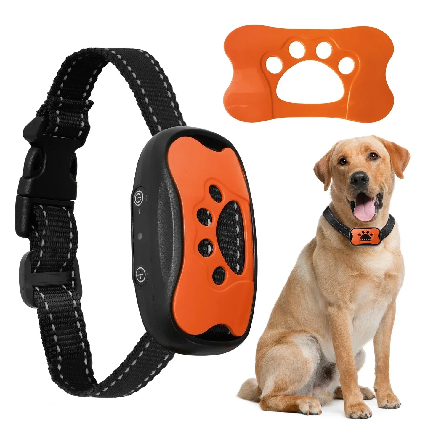 Dog collar with remote control, orange tag, and a dog sitting next to them on a white background