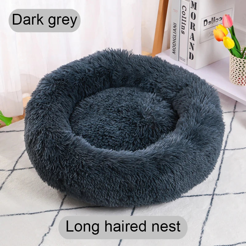 Dark gray long-haired pet nest on a checkered floor with books and flowers in the background.