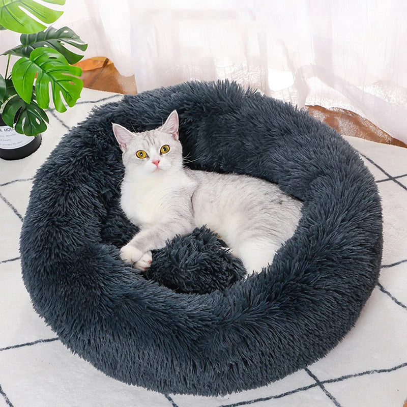 White cat lying on a fluffy dark gray pet bed with a plant in the background
