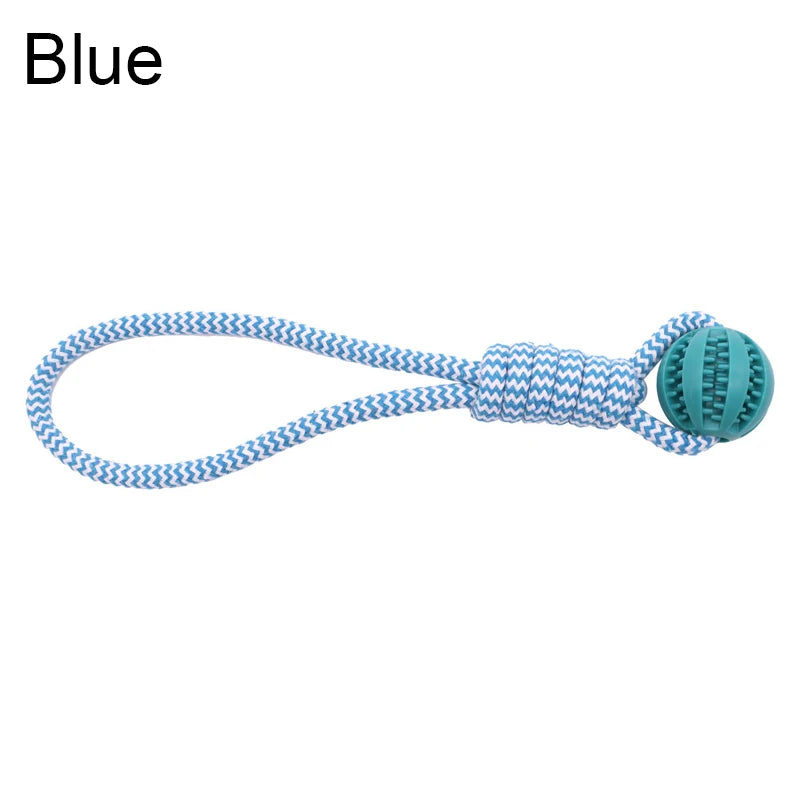 Blue dog toy with a ball and rope on a white background