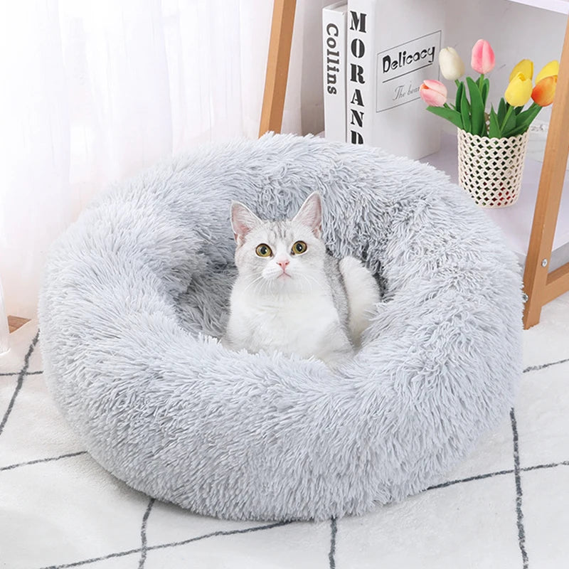 Cat sitting in a fluffy gray pet bed on a white floor with a blurred background