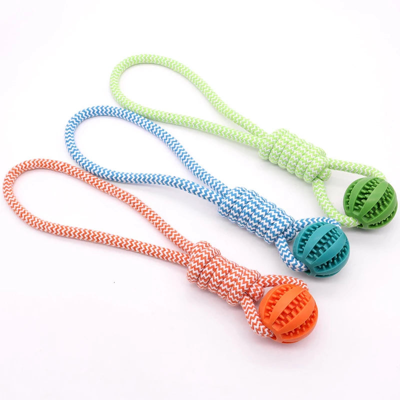 Three dog toys with colorful braided ropes and rubber balls on a white background
