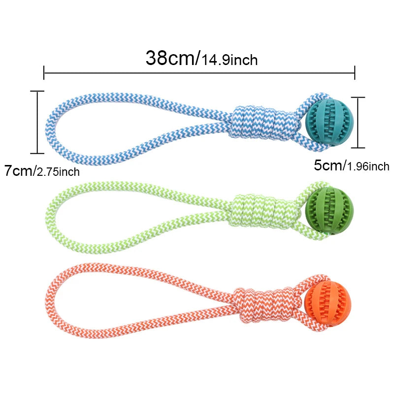 Three dog toys with measurement labels on a white background