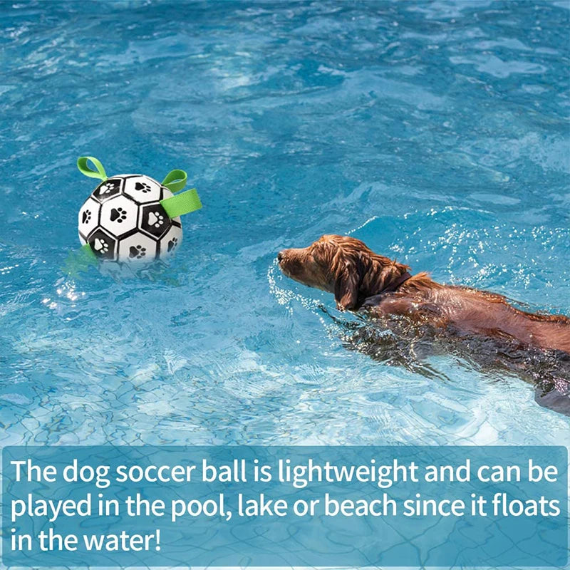 Dog playing with a soccer ball in a pool
