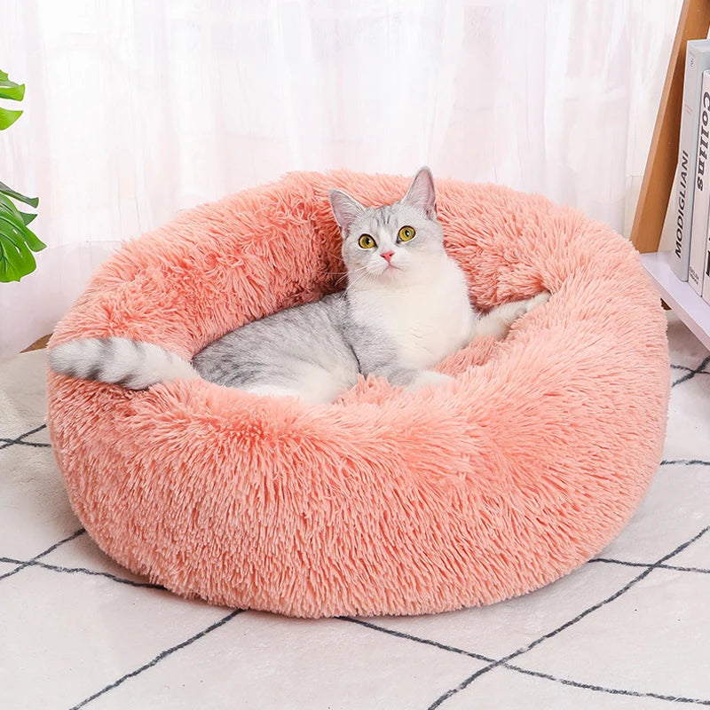 Cat lying on a fluffy pink pet bed with a white curtain and books in the background