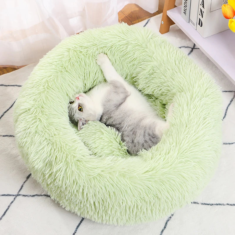 Cat lying on a green fluffy pet bed on a checkered floor.