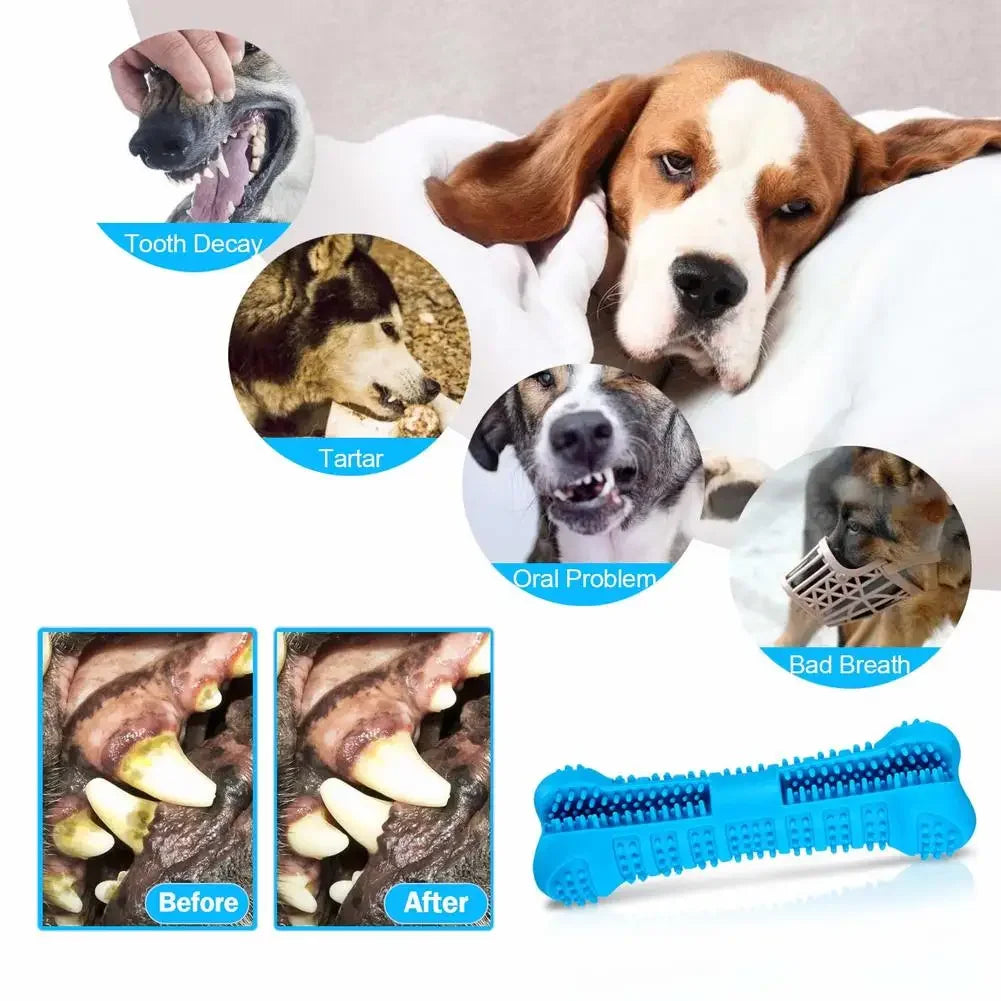 Dog with dental issues shown before and after using a blue dog toothbrush, with a dog lying on a white blanket.