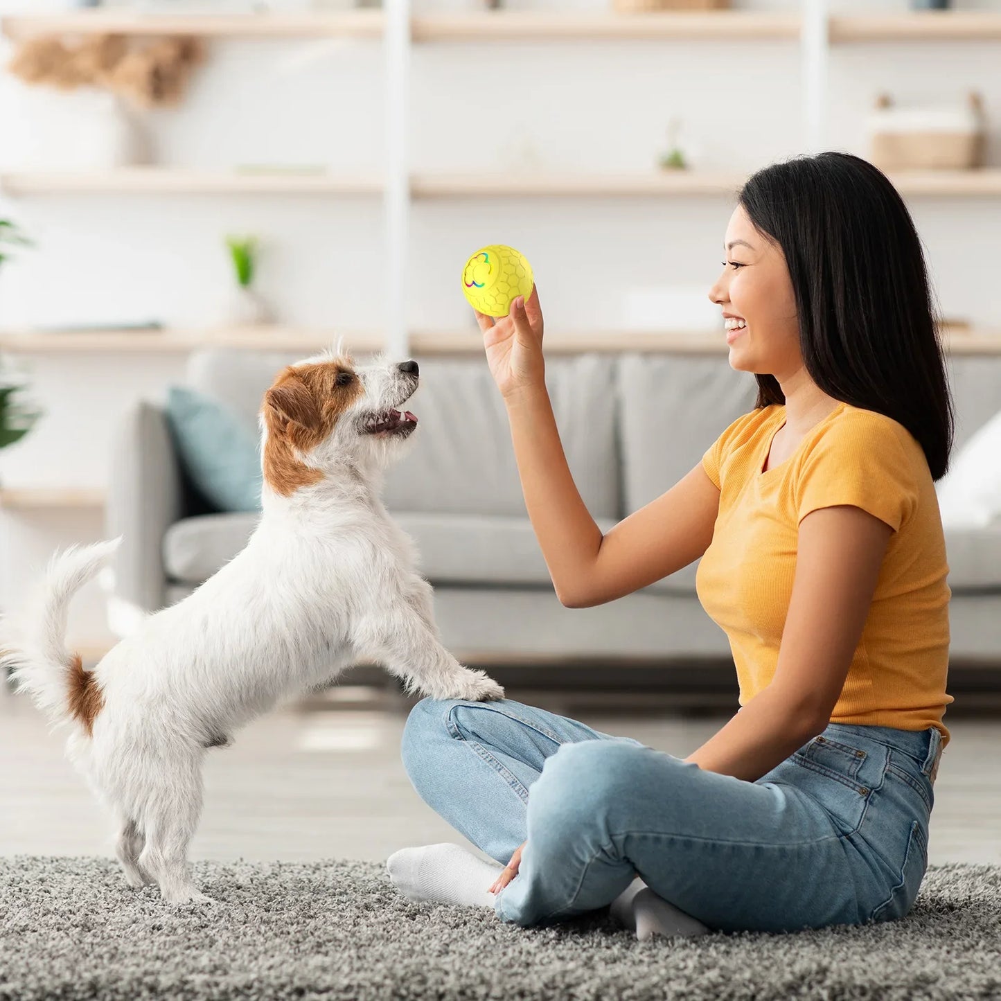 Woman playing with a dog using a yellow ball in a living room.