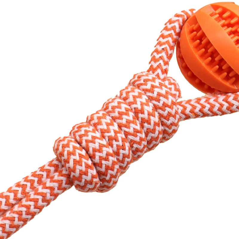 Dog toy with orange ball and white rope on a white background