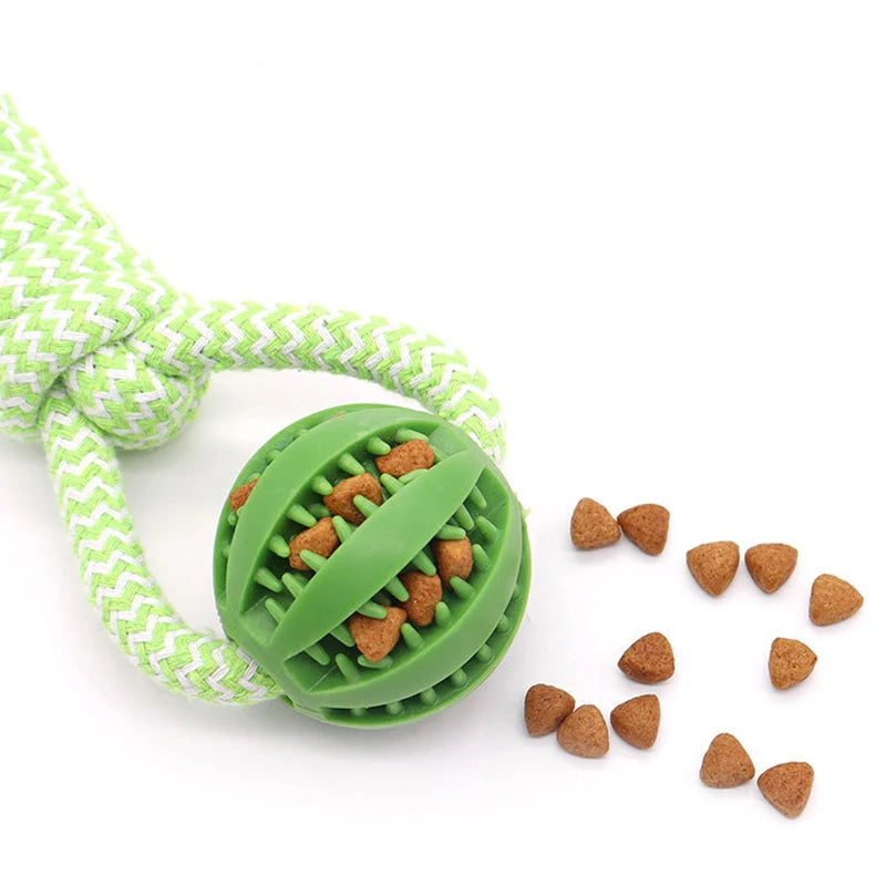 Green dog toy ball with a rope and kibble on a white background