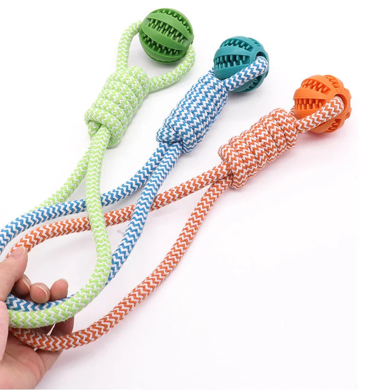 Three colorful dog toys with balls and ropes on a white background