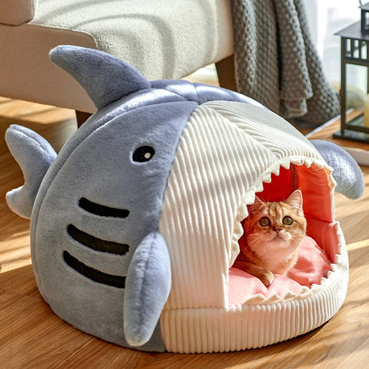 Cat in a shark-shaped pet bed on a wooden floor