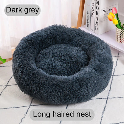 Dark gray long-haired pet nest on a checkered floor with books and flowers in the background.