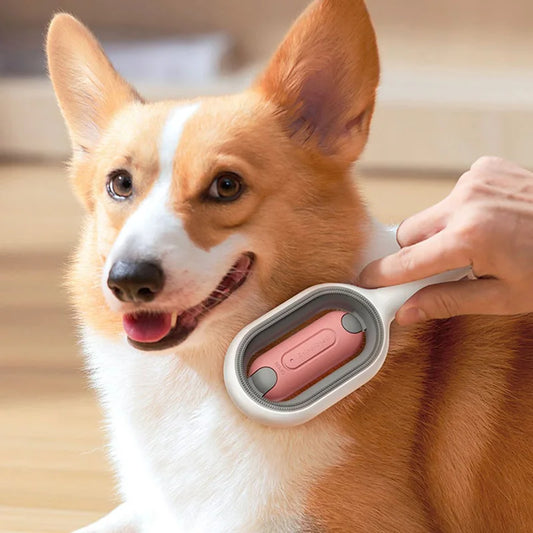 Pet Hair Removal Comb