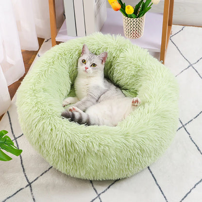 Cat lying on a green fluffy donut bed in a home setting
