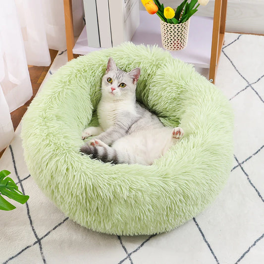 Cat lying on a green fluffy donut bed in a home setting