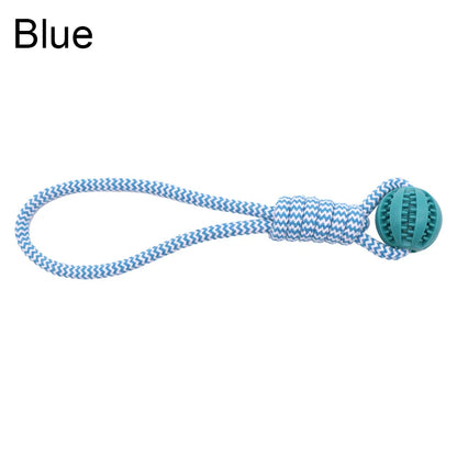 Blue dog toy with a ball and rope on a white background