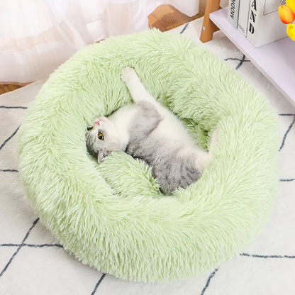 Cat lying on a green fluffy pet bed on a checkered floor.