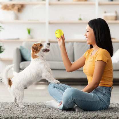 Woman playing with a dog using a yellow ball in a living room.