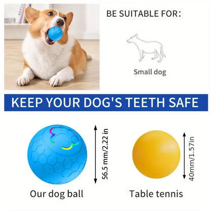 Dog playing with a blue ball, showing suitability for small dogs, with measurements of a dog ball and table tennis.