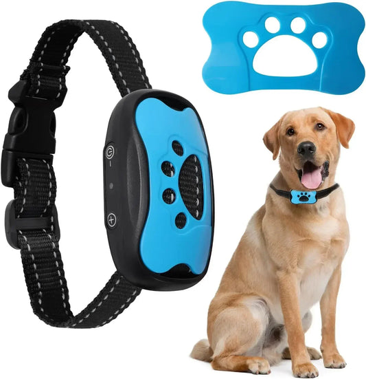 Black and blue dog collar with remote control, blue paw-shaped device, and a dog sitting next to them on a white background.